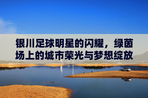 银川足球明星的闪耀,绿茵场上的城市荣光与梦想绽放