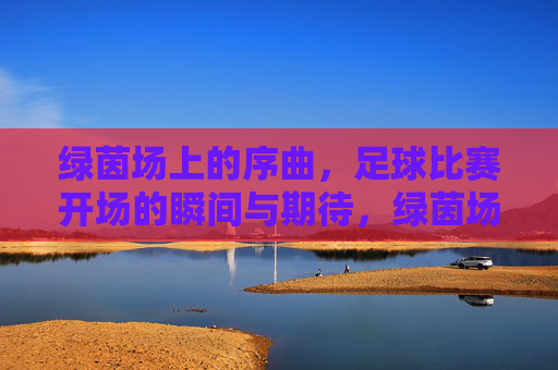 绿茵场上的序曲，足球比赛开场的瞬间与期待，绿茵场上的序曲，足球比赛开场的瞬间与期待
