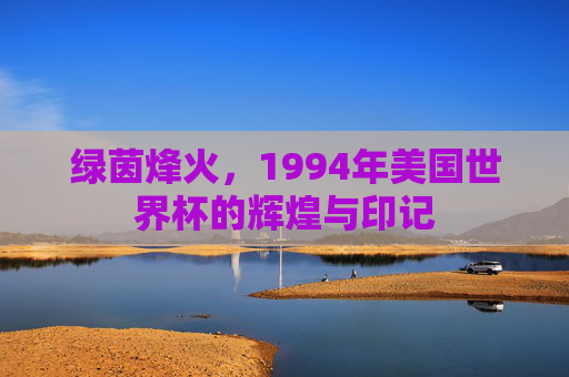绿茵烽火,1994年美国世界杯的辉煌与印记
