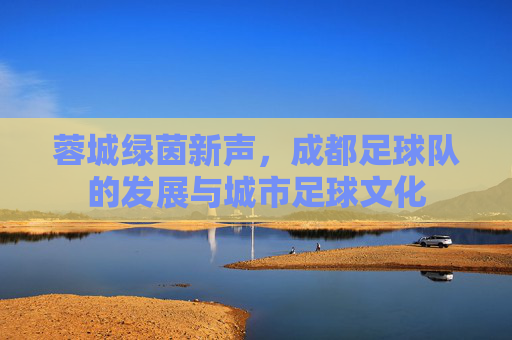 蓉城绿茵新声，成都足球队的发展与城市足球文化