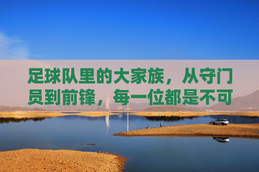 足球队里的大家族,从守门员到前锋,每一位都是不可或缺的战士,足球队里的大家族,从守门员到前锋,每一位都是不可或缺的战士