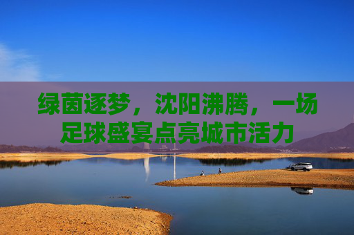 绿茵逐梦,沈阳沸腾,一场足球盛宴点亮城市活力