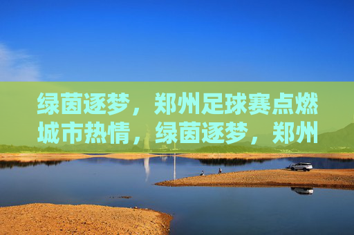 绿茵逐梦，郑州足球赛点燃城市热情，绿茵逐梦，郑州足球赛点燃城市热情
