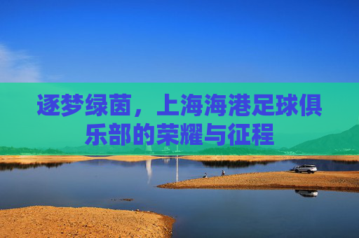 逐梦绿茵,上海海港足球俱乐部的荣耀与征程