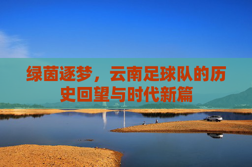 绿茵逐梦，云南足球队的历史回望与时代新篇