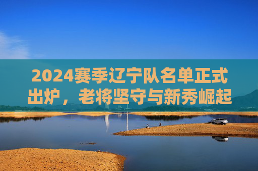 2024赛季辽宁队名单正式出炉，老将坚守与新秀崛起，为中超赛场再燃激情