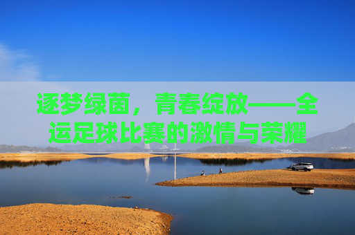 逐梦绿茵,青春绽放——全运足球比赛的激情与荣耀