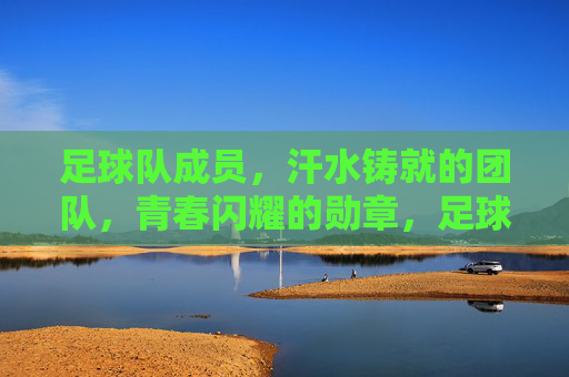 足球队成员,汗水铸就的团队,青春闪耀的勋章,足球队成员,汗水铸就的团队,青春闪耀的勋章