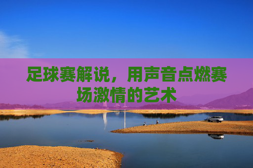 足球赛解说，用声音点燃赛场激情的艺术