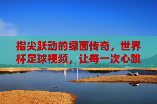 指尖跃动的绿茵传奇,世界杯足球视频,让每一次心跳都触手可及,指尖跃动的绿茵传奇,世界杯足球视频,让每一次心跳都触手可及