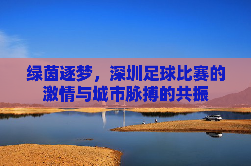 绿茵逐梦，深圳足球比赛的激情与城市脉搏的共振