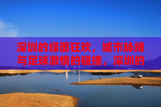 深圳的绿茵狂欢，城市脉搏与足球激情的碰撞，深圳的绿茵狂欢，城市脉搏与足球激情的碰撞