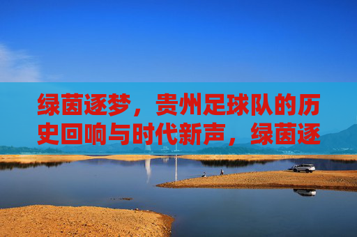 绿茵逐梦，贵州足球队的历史回响与时代新声，绿茵逐梦，贵州足球队的历史回响与时代新声