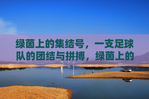 绿茵上的集结号，一支足球队的团结与拼搏，绿茵上的集结号，一支足球队的团结与拼搏