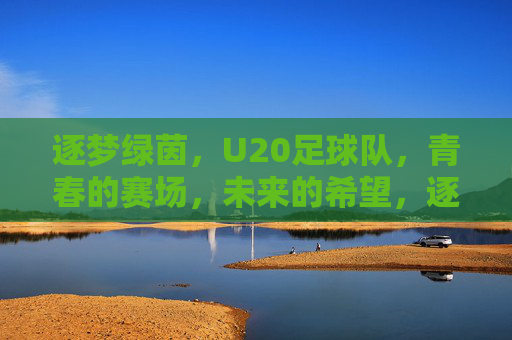 逐梦绿茵，U20足球队，青春的赛场，未来的希望，逐梦绿茵，U20足球队，青春的赛场，未来的希望
