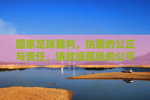 国家足球裁判,执裁的公正与责任,铸就绿茵场的公平正义