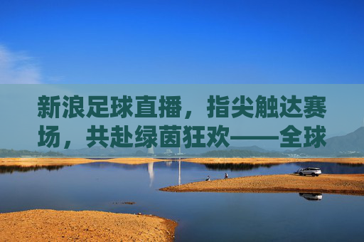 新浪足球直播,指尖触达赛场,共赴绿茵狂欢——全球球迷的实时盛宴,新浪足球直播,指尖触达赛场,共赴绿茵狂欢——全球球迷的实时盛宴