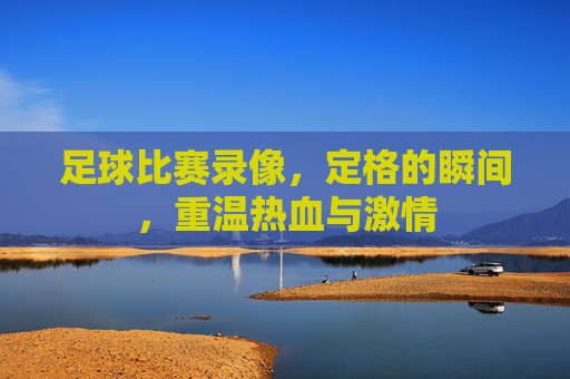 足球比赛录像，定格的瞬间，重温热血与激情