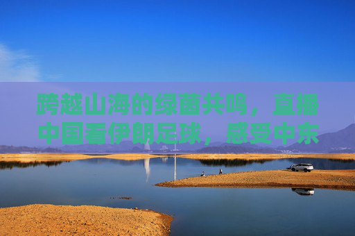 跨越山海的绿茵共鸣,直播中国看伊朗足球,感受中东足球的独特传承与激情