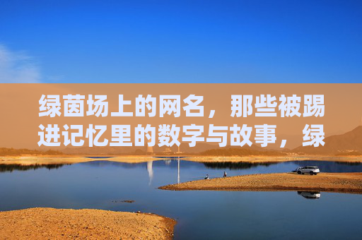绿茵场上的网名，那些被踢进记忆里的数字与故事，绿茵场上的网名，那些被踢进记忆里的数字与故事