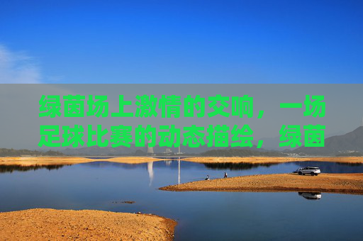 绿茵场上激情的交响，一场足球比赛的动态描绘，绿茵场上激情的交响，一场足球比赛的动态描绘