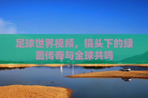 足球世界视频，镜头下的绿茵传奇与全球共鸣