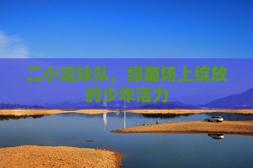 二小足球队，绿茵场上绽放的少年活力