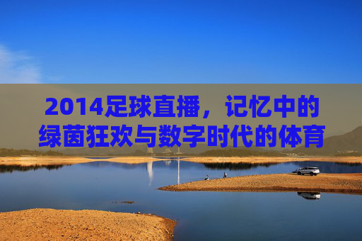 2014足球直播，记忆中的绿茵狂欢与数字时代的体育盛宴，2014足球直播，记忆中的绿茵狂欢与数字时代的体育盛宴