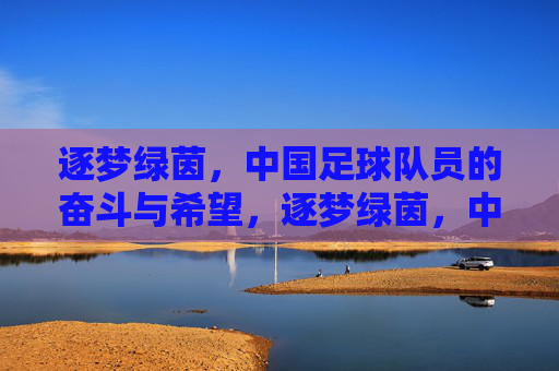 逐梦绿茵，中国足球队员的奋斗与希望，逐梦绿茵，中国足球队员的奋斗与希望