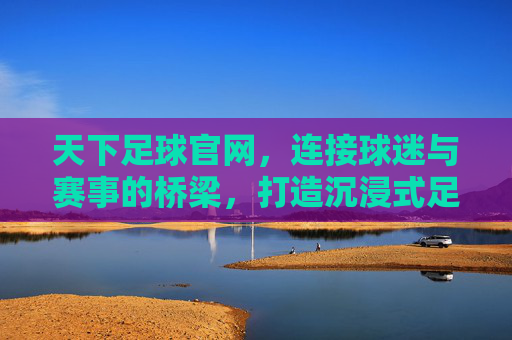 天下足球官网，连接球迷与赛事的桥梁，打造沉浸式足球体验，天下足球官网，连接球迷与赛事的桥梁，打造沉浸式足球体验