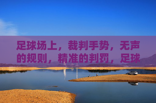 足球场上,裁判手势,无声的规则,精准的判罚,足球场上,裁判手势,无声的规则与精准判罚