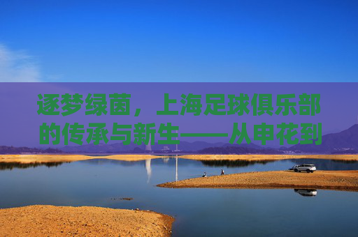 逐梦绿茵,上海足球俱乐部的传承与新生——从申花到上港的百年足球故事