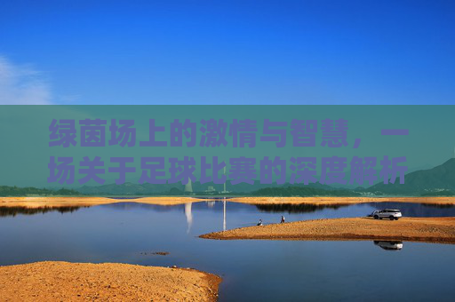 绿茵场上的激情与智慧，一场关于足球比赛的深度解析，绿茵场上的激情与智慧，一场足球比赛的深度解析