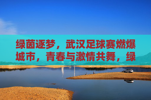 绿茵逐梦,武汉足球赛燃爆城市,青春与激情共舞,绿茵逐梦,武汉足球赛燃爆城市,青春与激情共舞