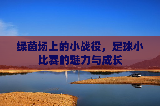 绿茵场上的小战役，足球小比赛的魅力与成长