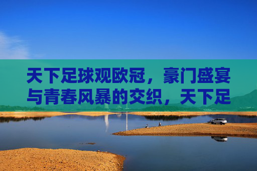 天下足球观欧冠，豪门盛宴与青春风暴的交织，天下足球观欧冠，豪门盛宴与青春风暴的交织