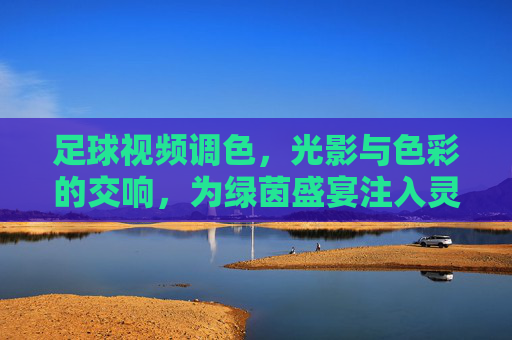 足球视频调色，光影与色彩的交响，为绿茵盛宴注入灵魂，足球视频调色，光影与色彩的交响，为绿茵盛宴注入灵魂