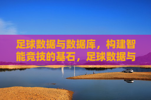 足球数据与数据库，构建智能竞技的基石，足球数据与数据库，构建智能竞技的基石