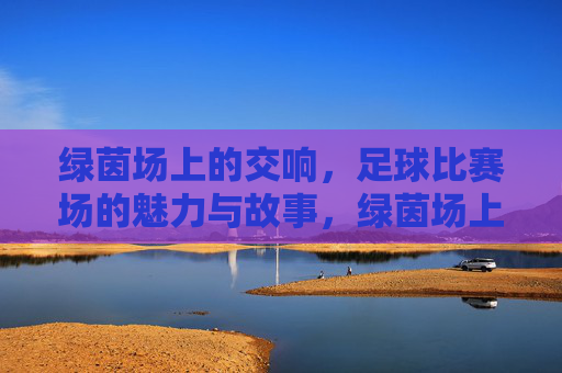 绿茵场上的交响，足球比赛场的魅力与故事，绿茵场上的交响，足球比赛场的魅力与故事