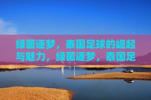 绿茵逐梦,泰国足球的崛起与魅力,绿茵逐梦,泰国足球的崛起与魅力