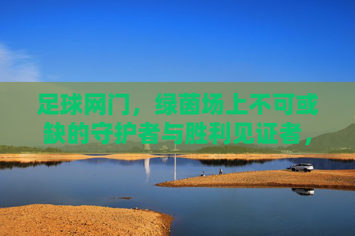 足球网门,绿茵场上不可或缺的守护者与胜利见证者,足球网门,绿茵场上不可或缺的守护者与胜利见证者