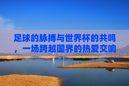 足球的脉搏与世界杯的共鸣，一场跨越国界的热爱交响，足球的脉搏与世界杯的共鸣，一场跨越国界的热爱交响