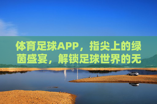 体育足球APP，指尖上的绿茵盛宴，解锁足球世界的无限可能，体育足球APP，指尖上的绿茵盛宴，解锁足球世界的无限可能