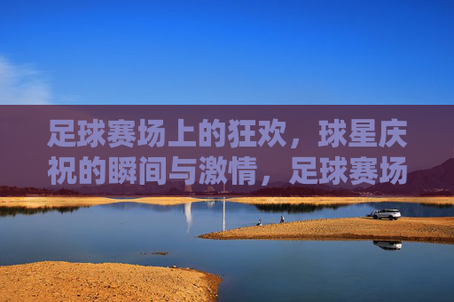 足球赛场上的狂欢，球星庆祝的瞬间与激情，足球赛场上的狂欢，球星庆祝的瞬间与激情