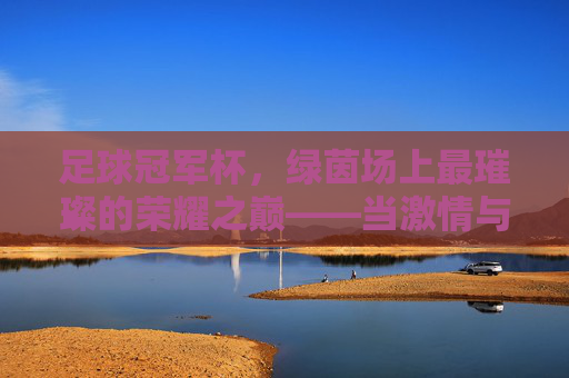 足球冠军杯，绿茵场上最璀璨的荣耀之巅——当激情与荣耀在巅峰碰撞，足球冠军杯，绿茵场上最璀璨的荣耀之巅——当激情与荣耀在巅峰碰撞