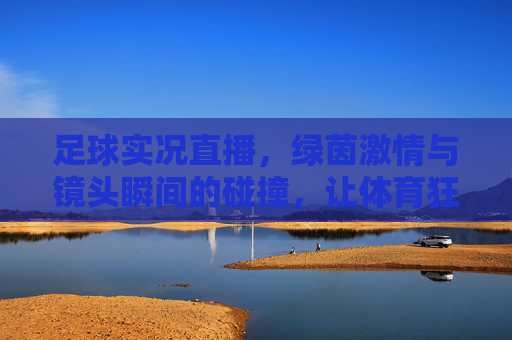 足球实况直播,绿茵激情与镜头瞬间的碰撞,让体育狂欢触手可及,足球实况直播,绿茵激情与镜头瞬间碰撞,体育狂欢触手可及