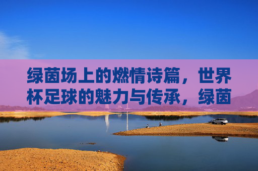 绿茵场上的燃情诗篇，世界杯足球的魅力与传承，绿茵场上的燃情诗篇，世界杯足球的魅力与传承