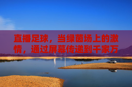 直播足球，当绿茵场上的激情，通过屏幕传递到千家万户，直播足球，绿茵场上的激情，屏幕传万家