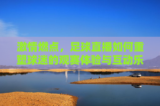 激情燃点，足球直播如何重塑球迷的观赛体验与互动乐趣，激情燃点，足球直播如何重塑球迷的观赛体验与互动乐趣