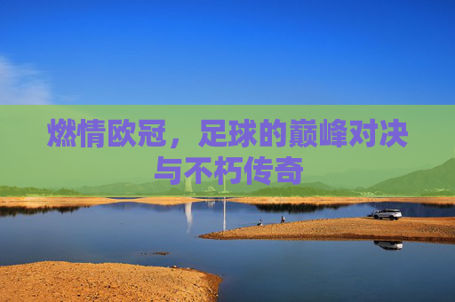 燃情欧冠，足球的巅峰对决与不朽传奇